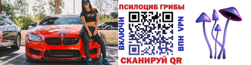 Псилоцибиновые грибы GOLDEN TEACHER  mega ССЫЛКА  Углегорск 